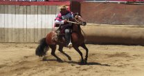 Así se vivió la final de la Rienda en el Parque Así se vivió la final de la Rienda en el Parque