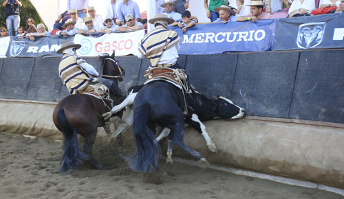 Imagen foto_00000015
