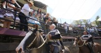 Infante y Tamayo se hicieron fuertes de local para ganar la Serie Caballos Infante y Tamayo se hicieron fuertes de local para ganar la Serie Caballos