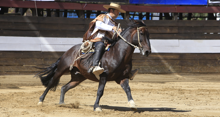 Alfonso Navarro y su clasificación a Rancagua: 