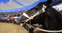 Una segunda mirada: El Lado B del Clasificatorio de Melipilla Una segunda mirada: El Lado B del Clasificatorio de Melipilla