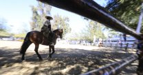 Félix Ortiz a una semana del Campeonato Nacional: Hay tranquilidad en que las cosas se harán bien Félix Ortiz a una semana del Campeonato Nacional: Hay tranquilidad en que las cosas se harán bien