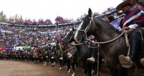 Los datos que debe saber para el 70º Campeonato Nacional de Rodeo Los datos que debe saber para el 70º Campeonato Nacional de Rodeo