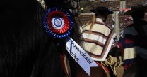 La Serie Promocional Femenina en el 70° Campeonato Nacional de Rodeo La Serie Promocional Femenina en el 70° Campeonato Nacional de Rodeo