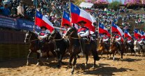 Palmas de Peñaflor deleitó al público en la Monumental de Rancagua Palmas de Peñaflor deleitó al público en la Monumental de Rancagua