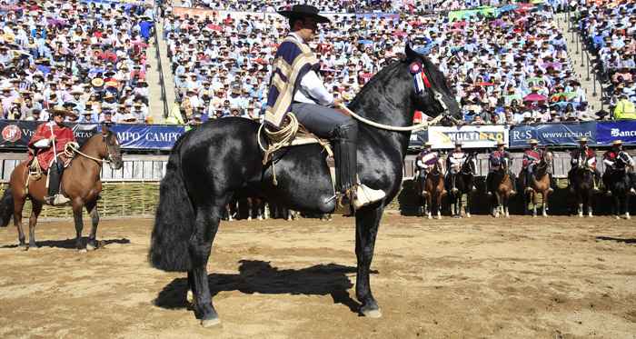 Peleco Caballero otra vez fue Sello de Raza en el Campeonato Nacional