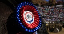 Las mejores imágenes del título de Peleco en el 70° Champion de Chile Las mejores imágenes del título de Peleco en el 70° Champion de Chile