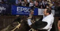 Las 4 carreras de Valdebenito y Cortina para llevar a la gloria a Compadre y Caballero Las 4 carreras de Valdebenito y Cortina para llevar a la gloria a Compadre y Caballero
