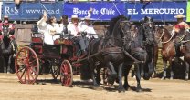 Los resultados de la rifa de las reinas del Campeonato Nacional Los resultados de la rifa de las reinas del Campeonato Nacional