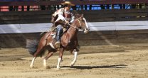 Marta Hernández comenzó de la mejor forma la nueva temporada en la Rienda Marta Hernández comenzó de la mejor forma la nueva temporada en la Rienda