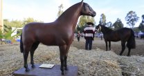 La Medialuna de Santa Bárbara acogerá la Final de Criadores 2019 La Medialuna de Santa Bárbara acogerá la Final de Criadores 2019