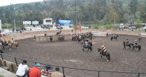 Medialuna de Las Condes alberga el último rodeo de Santiago Oriente en la Temporada Chica Medialuna de Las Condes alberga el último rodeo de Santiago Oriente en la Temporada Chica