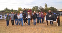 Javier Morales y Marcelo Osses marcaron mayores puntajes en competencia de Rienda Internacional Javier Morales y Marcelo Osses marcaron mayores puntajes en competencia de Rienda Internacional