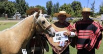 Pedro Santa María Torrealba: Llevo la crianza en el alma Pedro Santa María Torrealba: Llevo la crianza en el alma