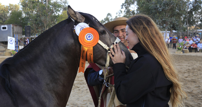 Elizabeth Kassis: Como criadores, tenemos el deber de hacer lo mejor por nuestro caballo