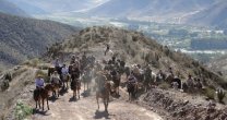 Criadores de Coquimbo realizaron cabalgata con homenaje especial Criadores de Coquimbo realizaron cabalgata con homenaje especial