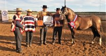 La gran alegría de Malleco con su Final de Criadores 2020 La gran alegría de Malleco con su Final de Criadores 2020