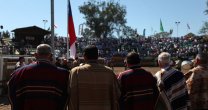 Asociación Maipo se reúne para premiar a los mejores de la temporada Asociación Maipo se reúne para premiar a los mejores de la temporada