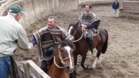 Víctor Ramírez fue reconocido por Llanquihue y Palena a causa de su dilatada Trayectoria Deportiva Víctor Ramírez fue reconocido por Llanquihue y Palena a causa de su dilatada Trayectoria Deportiva