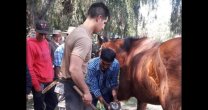 Ñuble recibe a profesionales del Ejército para Taller de Herraje Ñuble recibe a profesionales del Ejército para Taller de Herraje