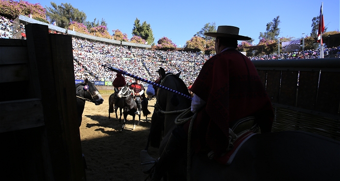 Se definieron fechas de los Clasificatorios y Campeonato Nacional de Rodeo 2019