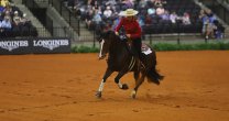 Katherina Yokota sumó valiosa experiencia en los Juegos Mundiales Ecuestres 2018 Katherina Yokota sumó valiosa experiencia en los Juegos Mundiales Ecuestres 2018