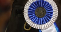 Estados Unidos ganó la medalla por equipos de la Rienda Internacional en Tryon