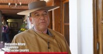 Un llamado a vivir el rodeo en estas Fiestas Patrias Un llamado a vivir el rodeo en estas Fiestas Patrias