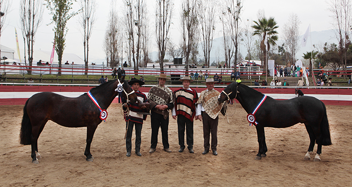 Gran Chico y Esperá se lucieron en la Expo Semana de la Chilenidad 2018