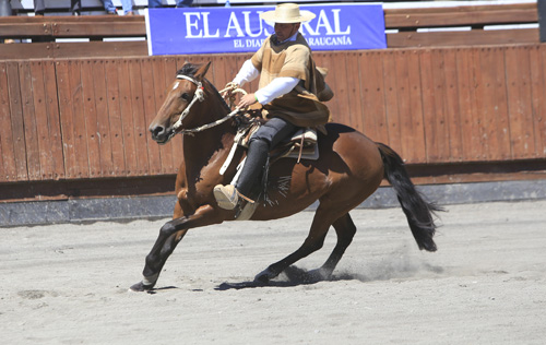 Luis Gerardo Soto consiguió primer requisito para participar en Rienda de los Clasificatorios 2019