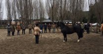 Criadores de Aysén le sacaron gran provecho a charla sobre el Caballo Chileno Criadores de Aysén le sacaron gran provecho a charla sobre el Caballo Chileno