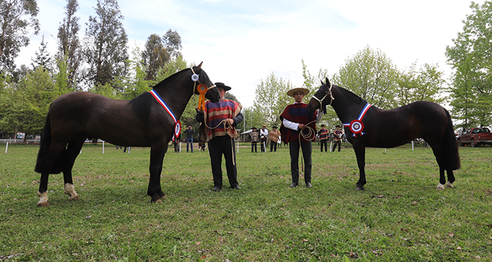 Expo San Clemente coronó como los mejores a Sicario y Esperá