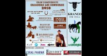 Más de 30 binomios darán vida al XX Campeonato Ecuestre del Criadero Los Cóndores Más de 30 binomios darán vida al XX Campeonato Ecuestre del Criadero Los Cóndores