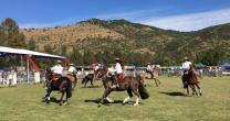 Amazonas de la Tradición Chilena preparan sus próximas actividades Amazonas de la Tradición Chilena preparan sus próximas actividades