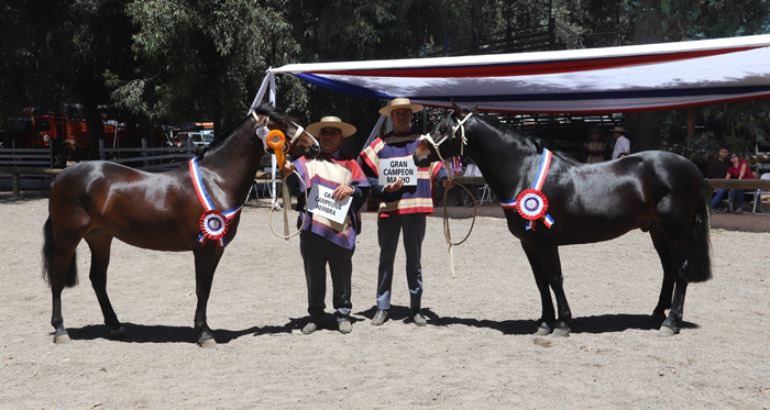 Caprichoso y Mulata fueron los máximos galardonados en la Expo Maipo