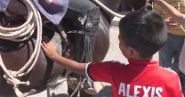 Criadores de Limarí realizaron muestra de Caballos Chilenos para escolares Criadores de Limarí realizaron muestra de Caballos Chilenos para escolares