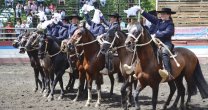 Escuadra Ecuestre La Reposada debutó con exitosa presentación en Bío Bío Escuadra Ecuestre La Reposada debutó con exitosa presentación en Bío Bío