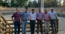 Rodeo para Criadores de la Asociación Talca inaugurará nueva Medialuna de Pelarco Rodeo para Criadores de la Asociación Talca inaugurará nueva Medialuna de Pelarco