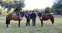 Asociación de los Ríos se traslada a Lanco para su Exposición y Rodeo Para Criadores Asociación de los Ríos se traslada a Lanco para su Exposición y Rodeo Para Criadores