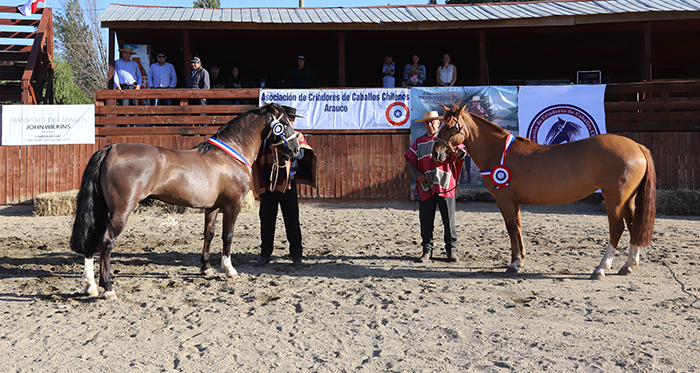 Monarca y Filomena lucieron su clase en la Expo Arauco 2019