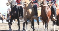 Acreditaciones de prensa para la Final de Criadores y Expo Nacional 2019 Acreditaciones de prensa para la Final de Criadores y Expo Nacional 2019