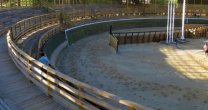 Pelarco inaugura medialuna con la Escuadra Palmas de Peñaflor y Rodeo Para Criadores Pelarco inaugura medialuna con la Escuadra Palmas de Peñaflor y Rodeo Para Criadores