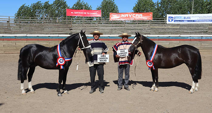 Risueño y Luna Llena mostraron su clase en la Expo Parral