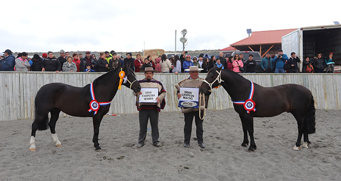 Escultor y Doña Juana ganaron en atractiva Expo Magallanes 2019