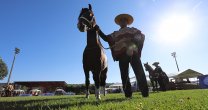Estos son los ganadores de las Categorías de la Expo Nacional 2019 Estos son los ganadores de las Categorías de la Expo Nacional 2019
