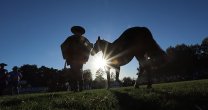 Así se desarrollaron los Grandes Premios de la Expo Nacional 2019
