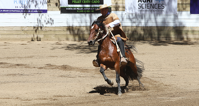 Luis Gerardo Soto mostró la capacidad de Súper Muñeco en Final de Rodeos Para Criadores