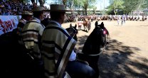 Para disfrutar: La Final de Criadores que ganaron los Loaiza Para disfrutar: La Final de Criadores que ganaron los Loaiza