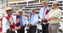 Medialuna de Pemuco recibió visita inspectiva de cara a los Clasificatorios Medialuna de Pemuco recibió visita inspectiva de cara a los Clasificatorios