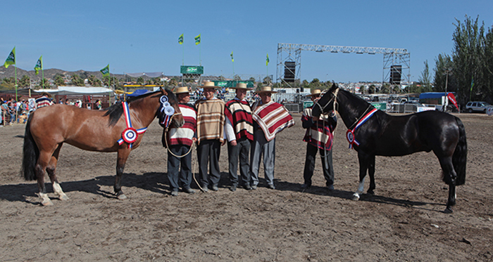 Con Tuti y Posada, los Mejores Exponentes de la Expo Coquimbo 2019